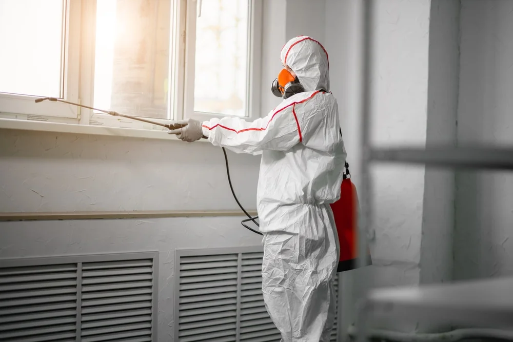 Professional mold remediation services in Shelley, ID
